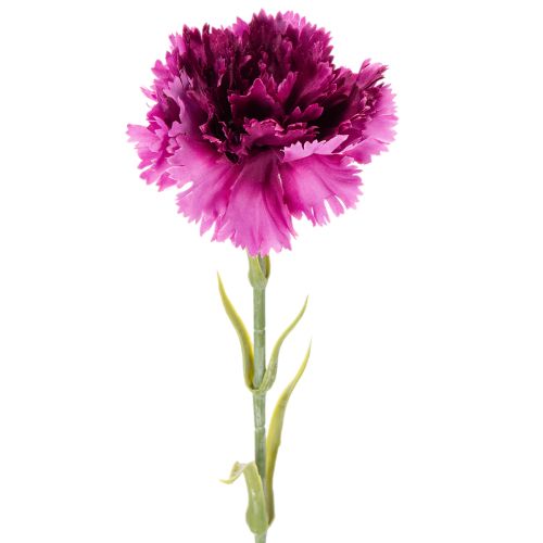 Nelke Kunstblume zweifarbig 56 cm Bund mit 8 Stielen aus Kunststoff