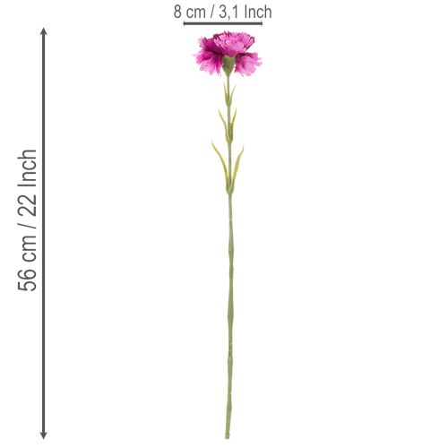 Nelke Kunstblume zweifarbig 56 cm Bund mit 8 Stielen aus Kunststoff | Floristik24.at