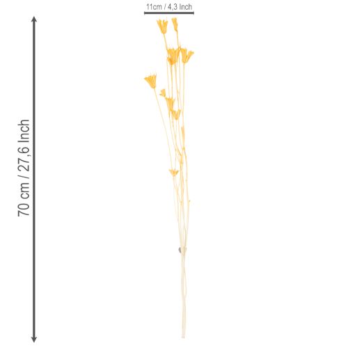 Artikel Nigella Trockenblumen Arrangement zur langfristigen Nutzung Eleganter Hingucker 70cm 50g