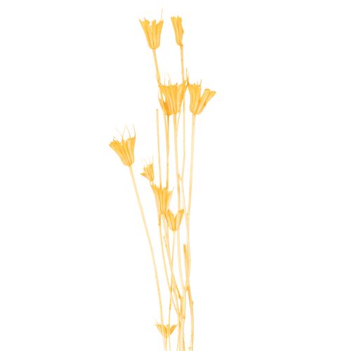 Artikel Nigella Trockenblumen Arrangement zur langfristigen Nutzung Eleganter Hingucker 70cm 50g