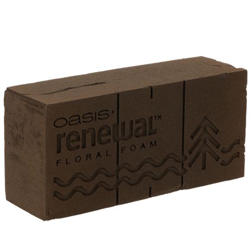 Oasis Renewal Steckschaum Braun 23 x 11 x 7,5 cm für Blumengestecke