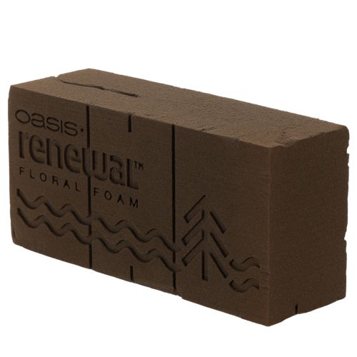 Oasis Renewal Steckschaum Braun 23 x 11 x 7,5 cm für Blumengestecke | Floristik24.at