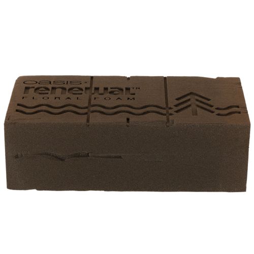 Oasis Renewal Steckschaum Braun 23 x 11 x 7,5 cm für Blumengestecke | Floristik24.at