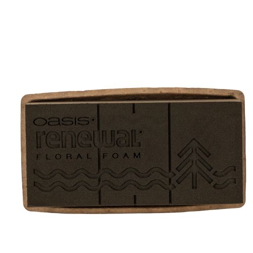 Blumensteckschaum OASIS® Renewal® Biolit® 1/1 Ziegel, braun, 24 × 13 × 8 cm, 2 Stück