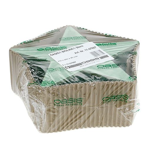 Artikel Nass Steckschaum Stern für Gestecke 25 x 25 x 4,5cm