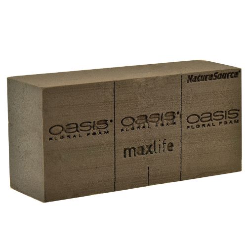 Floristik24 Oasis NatureSource Maxlife Steckschaum Ziegel Braun 23×11×7,5cm 1St