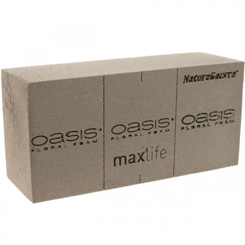OASIS® BIOLIT® NatureSource Ziegel Steckschaum 23cm×11cm×7cm 10St