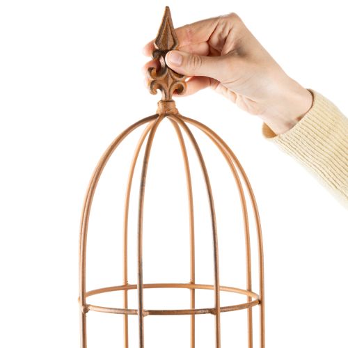 Artikel Rankgitter Garten Kletterhilfe für Rosen und andere Rankpflanzen ideale Gartengestaltung 108cm Set mit 2St