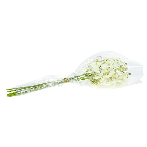 Artikel Orchidee Hellgrün 56cm 6St