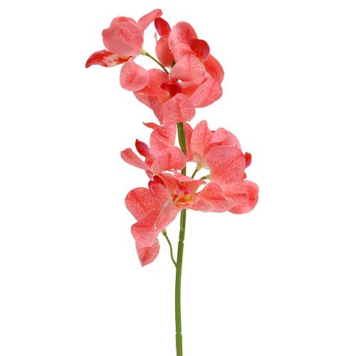 Artikel Orchidee Mokara Lachs 50cm 6St