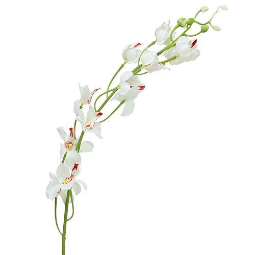 Floristik24 Orchidee Mokara Weiß 92cm 3St