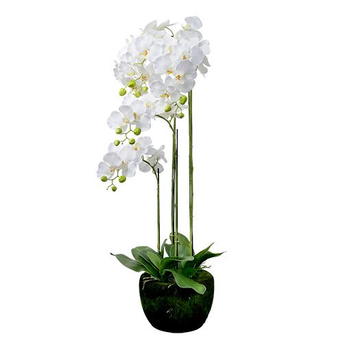 Floristik24 Orchidee Weiß mit Erdball 110cm