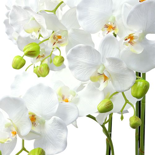 Floristik24 Orchidee Weiß mit Erdball 110cm