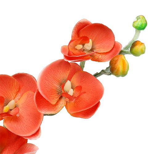 Artikel Orchidee zwei Äste 60cm Orange
