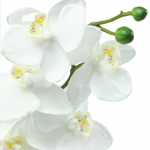 Artikel Künstliche Orchidee Kunstblume Weiß Ø6,5-8cm 77cm