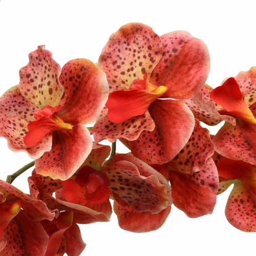 Artikel Künstliche Orchidee Phaelaenopsis Rot, Orange H81cm