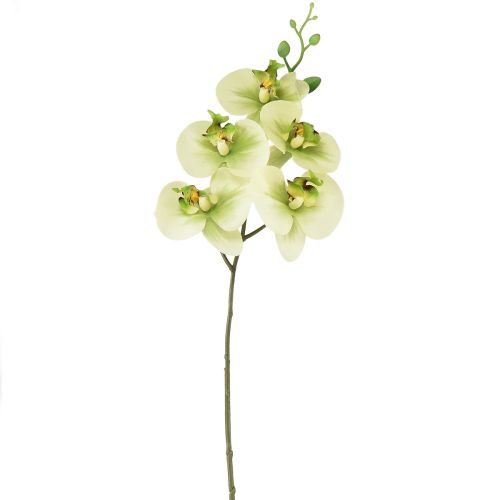 Floristik24 Orchidee Künstlich Gelb Grün Phalaenopsis 85cm
