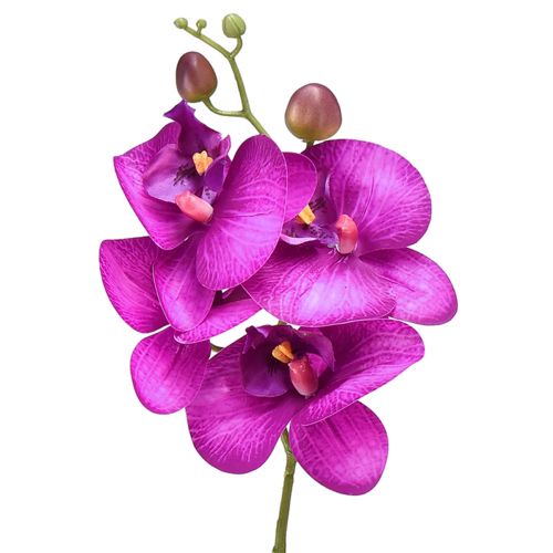 Orchidee Künstliche Phalaenopsis 4 Blüten Fuchsia 72cm