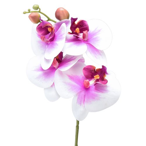 Orchidee Künstliche Phalaenopsis 4 Blüten Weiß Pink 72cm