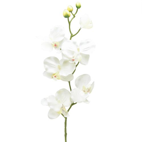 Orchidee Phalaenopsis künstlich 6 Blüten Weiß Creme 70cm