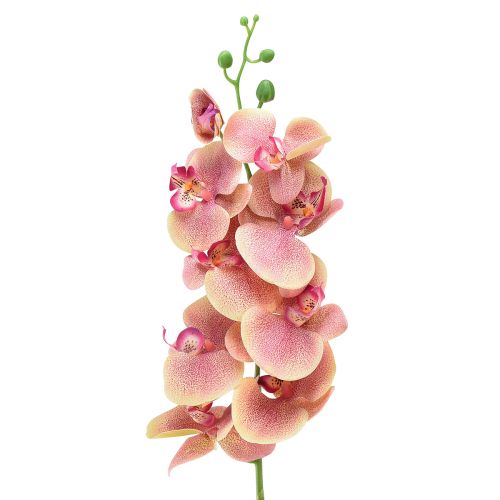 Orchidee Phalaenopsis künstlich 9 Blüten Pink Vanille 96cm