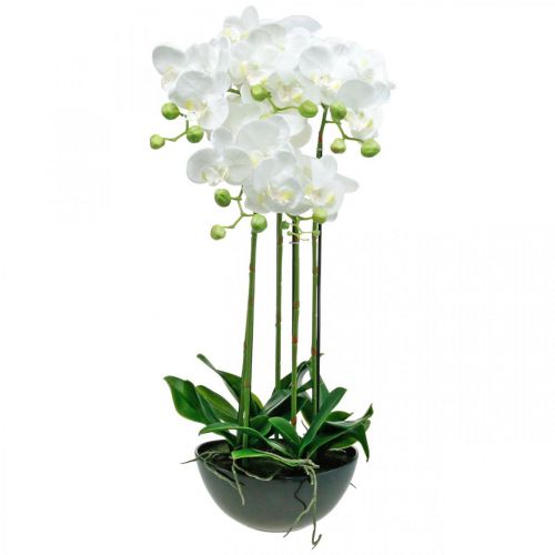 Floristik24 Künstliche Orchideen im Topf Weiß Kunstpflanze 63cm