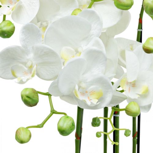 Floristik24 Künstliche Orchideen im Topf Weiß Kunstpflanze 63cm