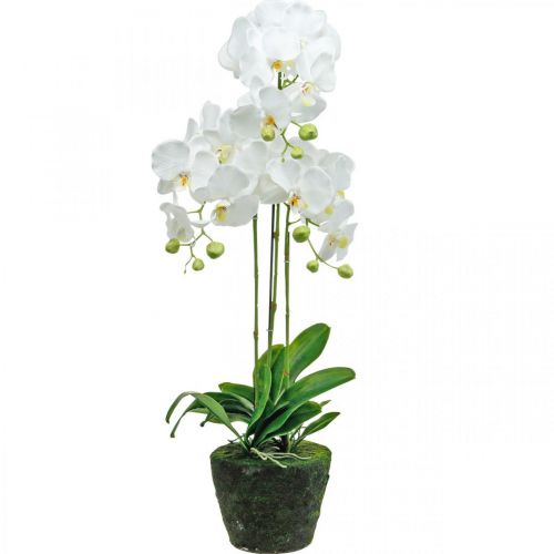 Künstliche Orchideen für den Topf Weiß 80cm-79124
