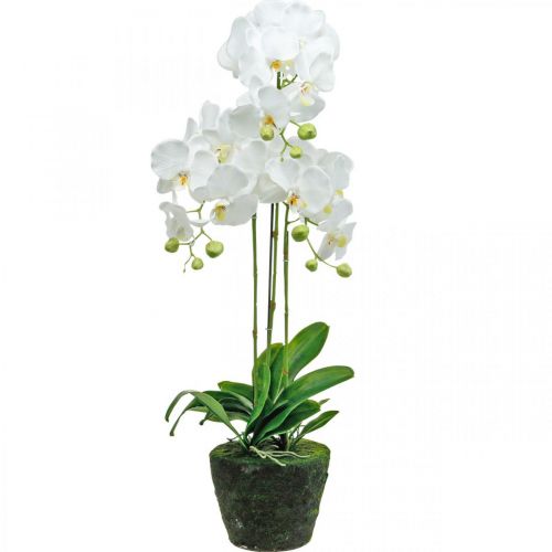 Floristik24 Künstliche Orchideen für den Topf Weiß 80cm