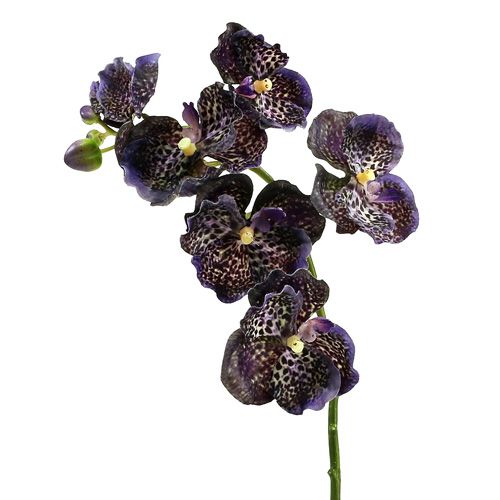 Floristik24 Orchidee Vanda künstlich Violett L 44cm