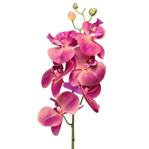 Floristik24 Künstliche Orchidee Phalaenopsis Orchidee Fuchsia 78cm