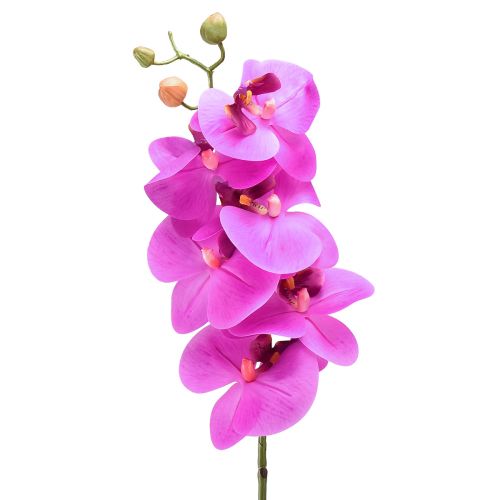 Künstliche Orchidee Phalaenopsis Orchidee Pink 78cm