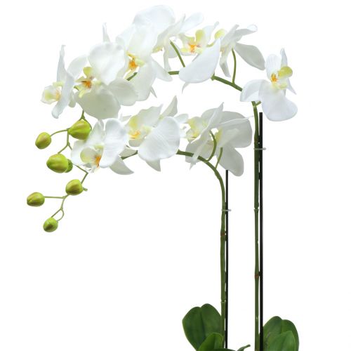 Artikel Orchidee Weiß auf Erdballen 65cm