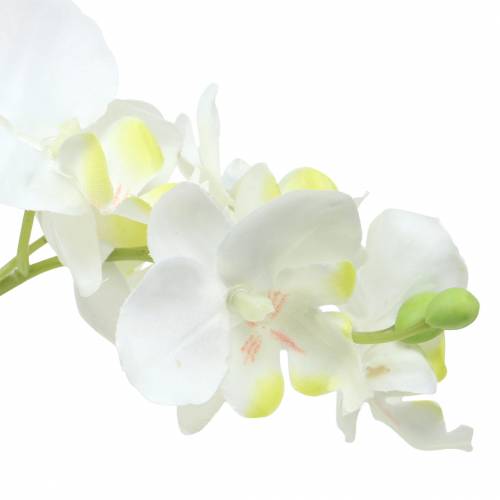 Artikel Orchideen Weiß im Topf Kunstpflanze H35cm