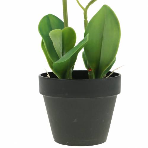 Floristik24 Orchideen Weiß im Topf Kunstpflanze H35cm