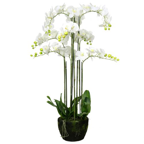 Artikel Orchidee Weiß auf Erdballen 118cm