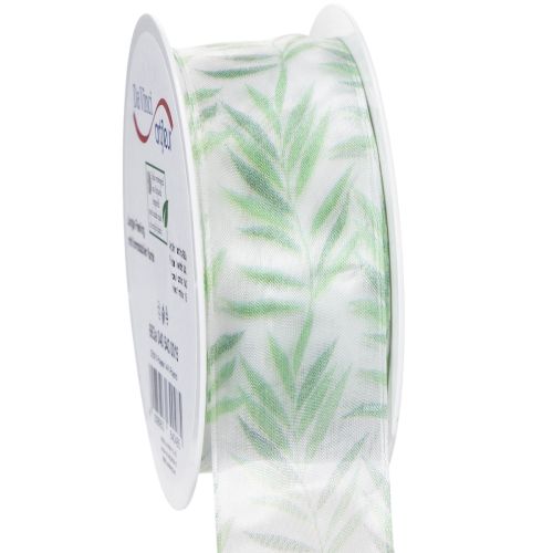 Organzaband Chiffonband mit Pflanzenmotiv 40mm x 15m Weiß-Grün bestellen | Floristik24.at