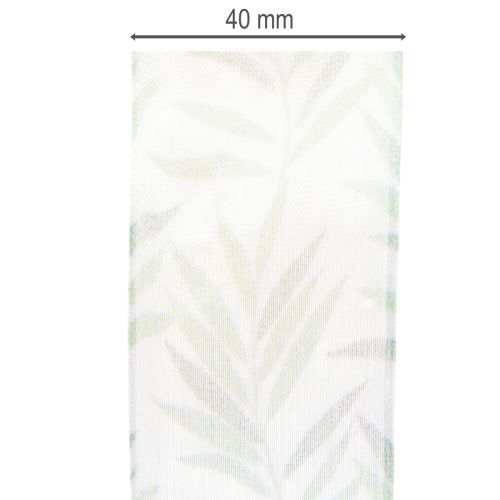 Organzaband Chiffonband mit Pflanzenmotiv 40mm x 15m Weiß-Grün | Floristik24.at