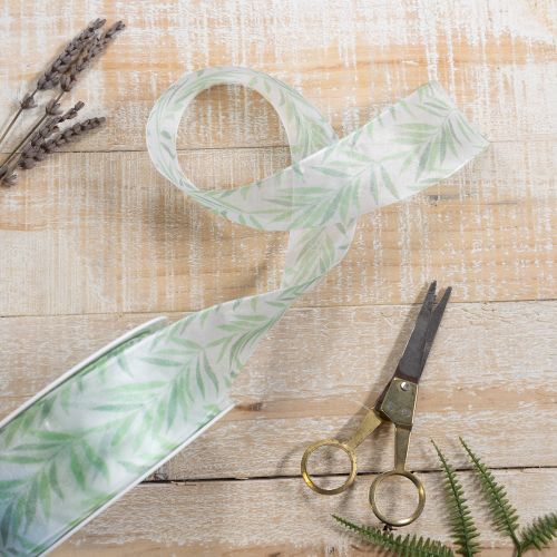 Organzaband Chiffonband mit Pflanzenmotiv 40mm x 15m Weiß-Grün | Floristik24.at