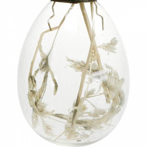 Floristik24 Ostereier mit Trockenblumen, Dekoeier Echtglas, Florale Osterdeko zum Hängen, Glaseier 8 St