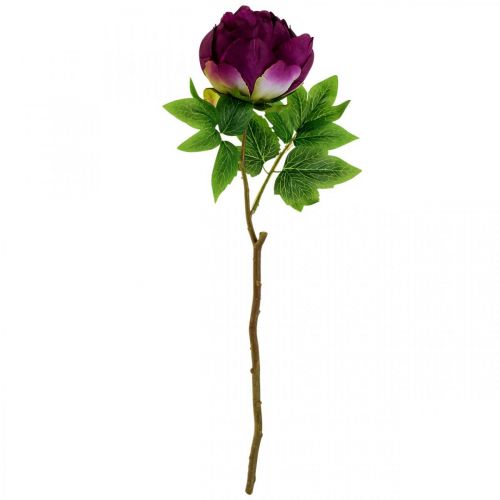 Artikel Paeonia, Pfingstrose Kunstblume Pink Peonie Ø11cm L45cm