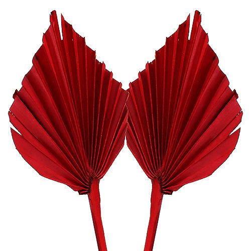 Artikel Palmspear Rot 65 St