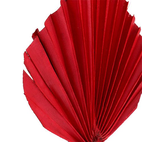 Artikel Palmspear Rot 65 St