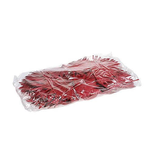 Artikel Palmspear Sun mini Rot 50 St