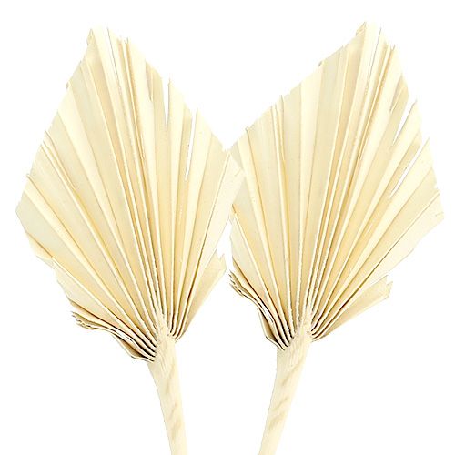 Artikel Palmspear gebleicht 20 St