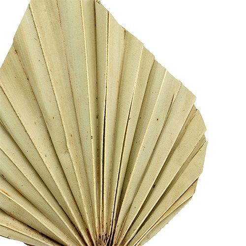 Artikel Palmspear mini Natur 100 St