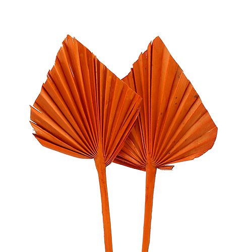 Palmspear mini Orange 100St