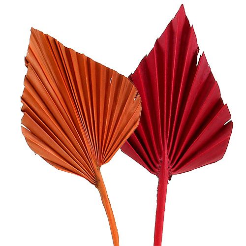 Artikel Palmspear sortiert Rot/Orange 50 St