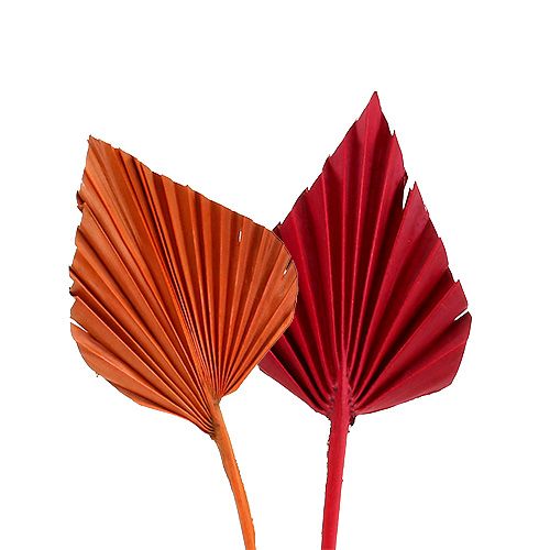 Artikel Palmspear mini sort. Rot/Orange 100St