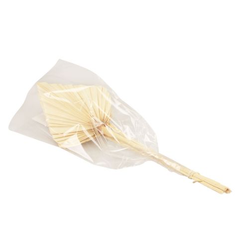 Floristik24 Palmspear Palmenblätter Naturdeko Gebleicht 12,5×38cm 4 St